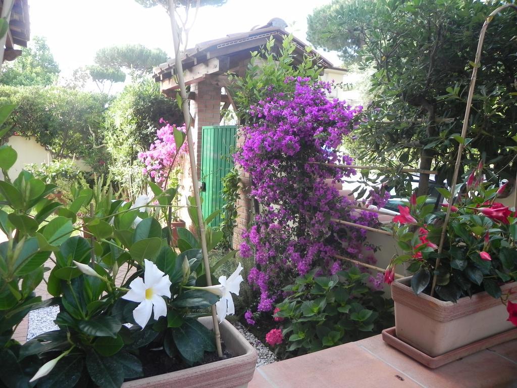 Villa Il Fortino Lido di Camaiore Kültér fotó