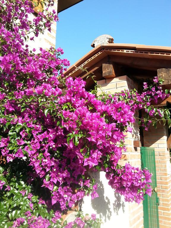 Villa Il Fortino Lido di Camaiore Kültér fotó
